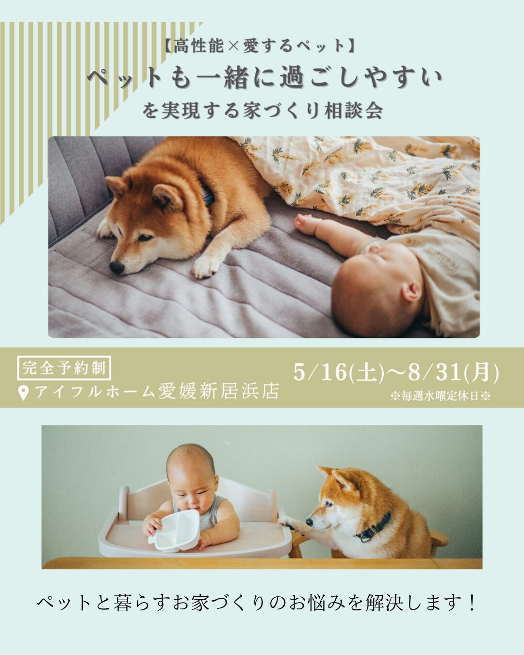 【愛媛新居浜店】”ペットも一緒に過ごしやすい”を実現する家づくり相談会